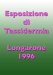 1996